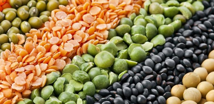 Pulses and Lentils Wholesale