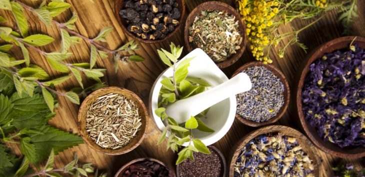 Herbs and Spices Wholesale UK