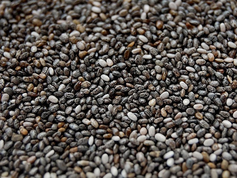 Wholesale Seeds and Grains Chia