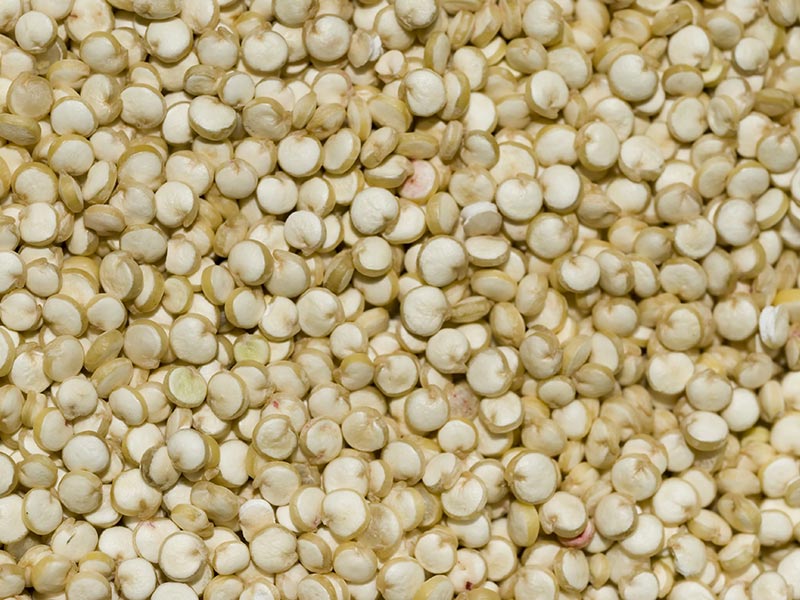 Wholesale Seeds and Grains