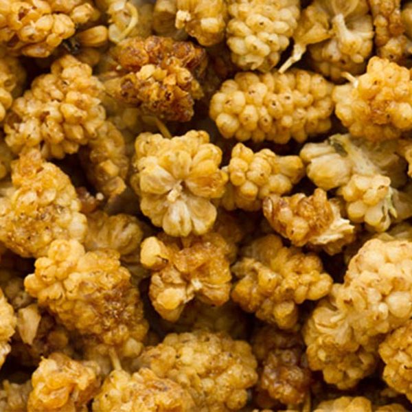 Dried Fruits Wholesale NutriBoost Superfood Wholesaler