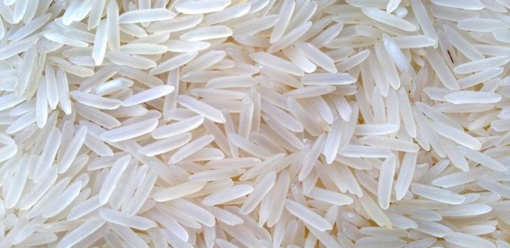 Wholesale Rice and Pasta, White Rice