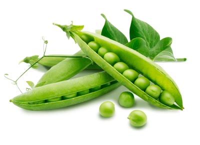 Organic Pea Protein