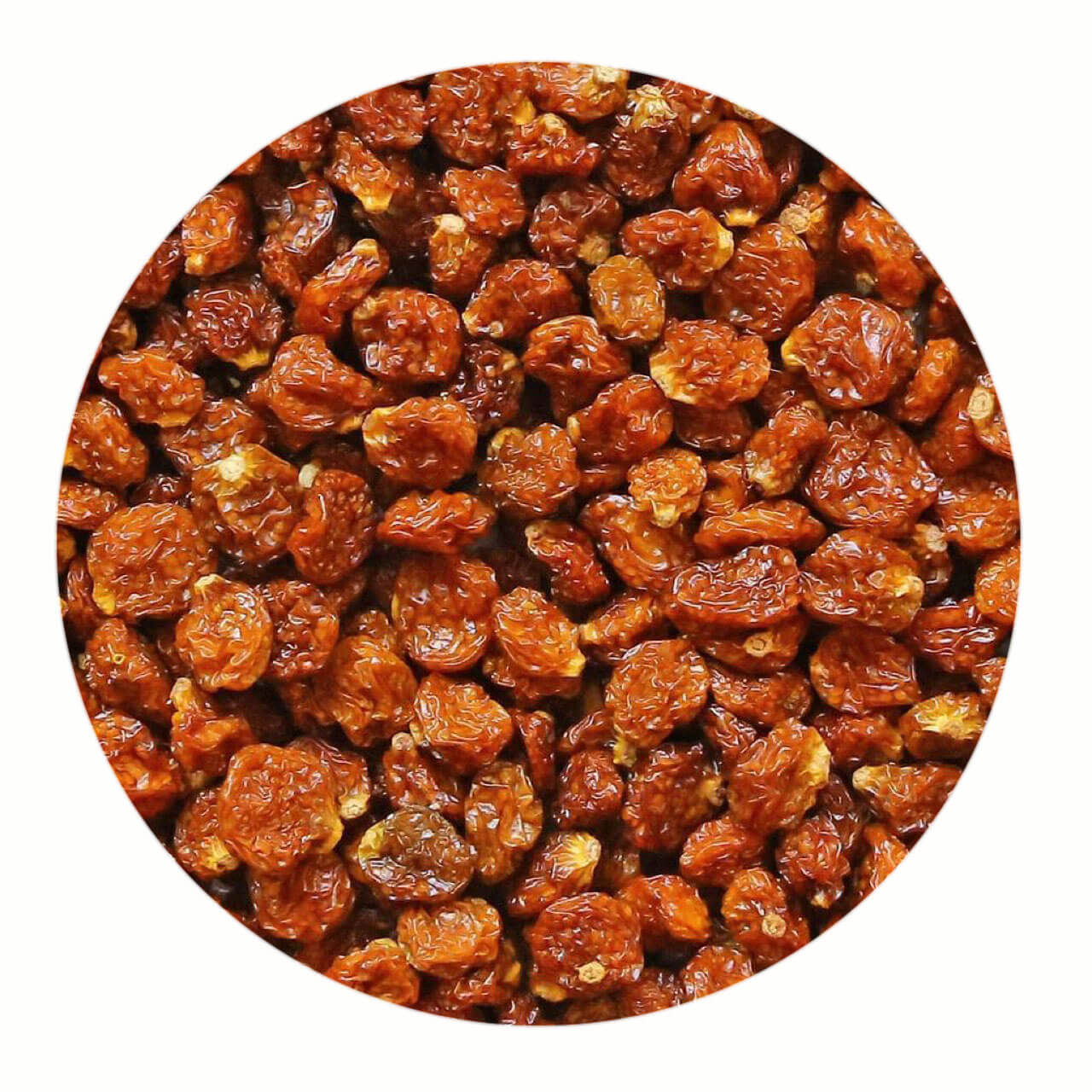 Inca Berries NutriBoost BV Dried Fruits Wholesaler