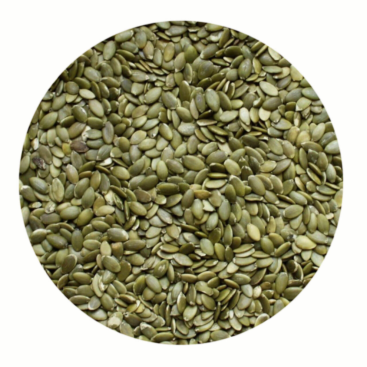 Pumpkin Seeds, GWS A or AA NutriBoost BV Grains & Seeds Wholesale